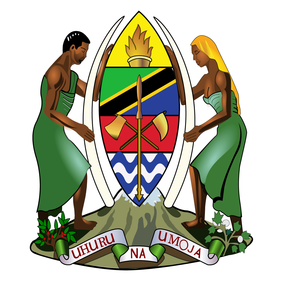 Ministry of Communication & Information Technology